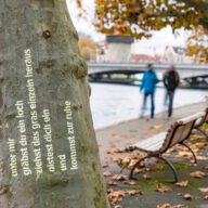 Tag: Unter mir