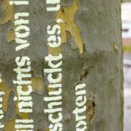 Tag: Er trägt es davon (Detail)