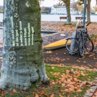 Tag: Dein Sinn für Romantik