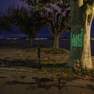 Nacht: Wir verzichten auf die Hand