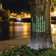 Nacht: Wenn ich dich im Garten